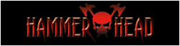 HAMMER HEAD